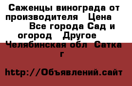 Саженцы винограда от производителя › Цена ­ 800 - Все города Сад и огород » Другое   . Челябинская обл.,Сатка г.